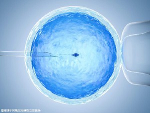 人工孕妈代怀咨询联系电话